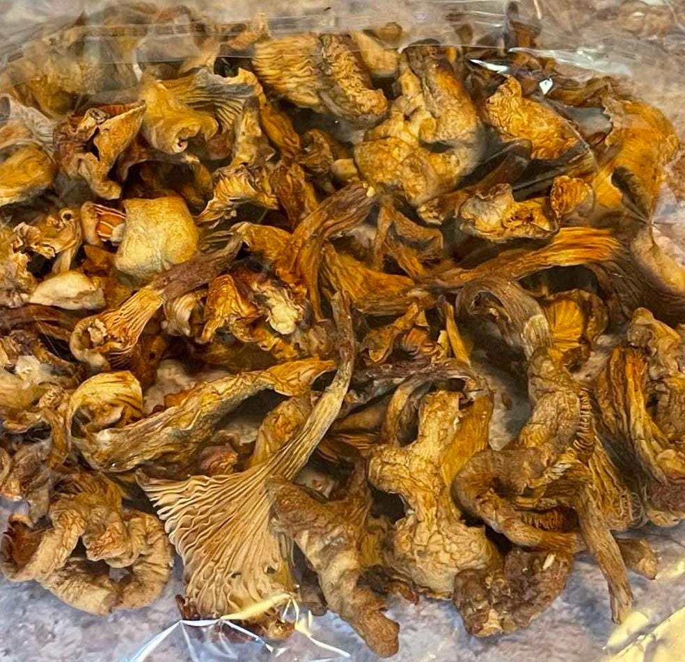Organic Dried Chanterelle Mushrooms from the Carpathian Mountains Handpicked and Naturally Dried