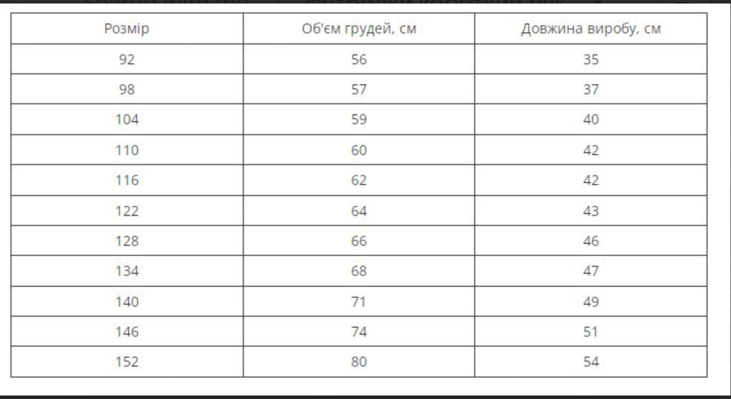 Modern Ukrainian Cotton Embroidered Vyshyvanka T-Shirt Blouse for Girls