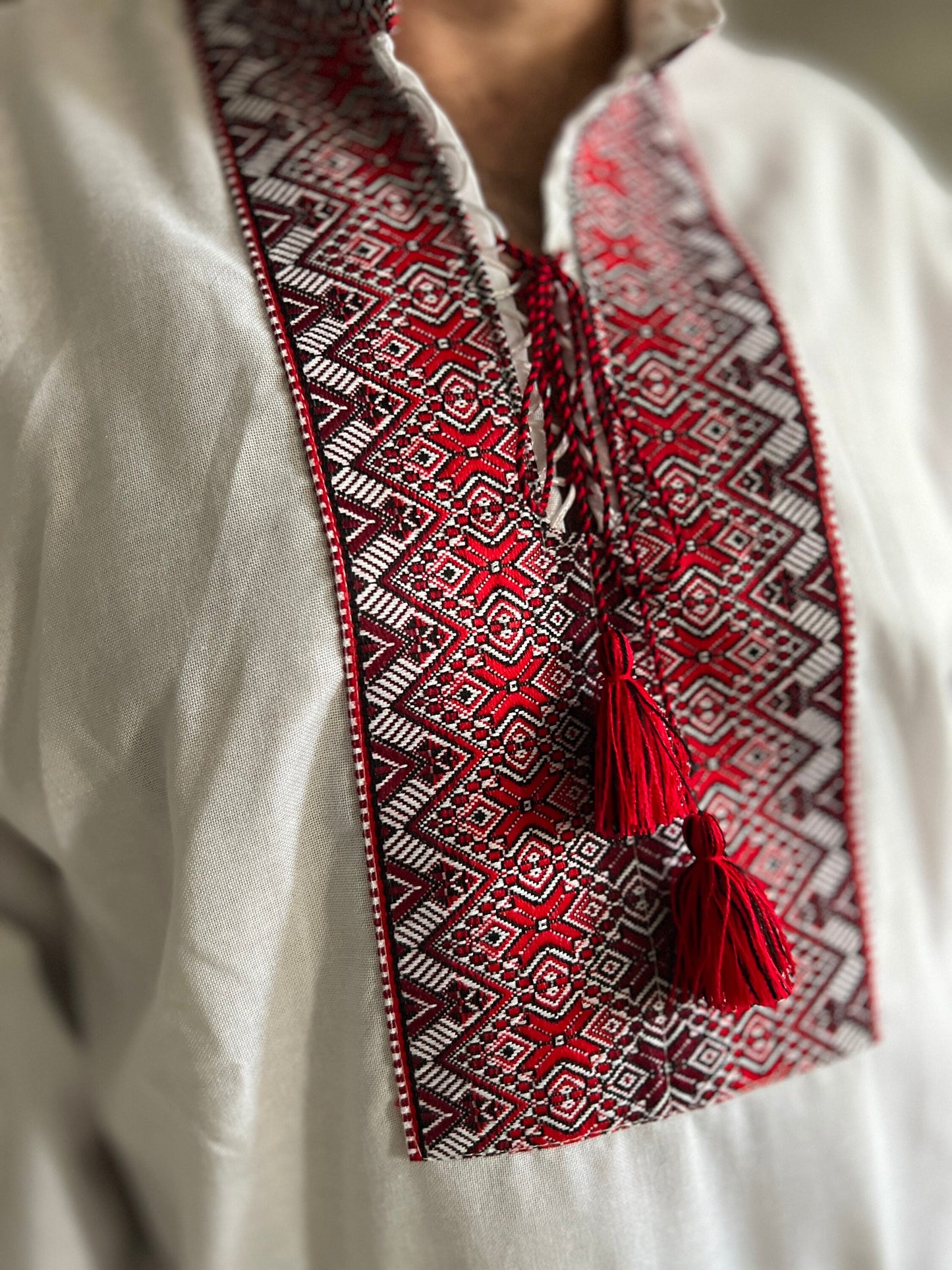 XXS - 7XL Ukrainian Embroidered Shirt Vyshyvanka Sorochka for Men