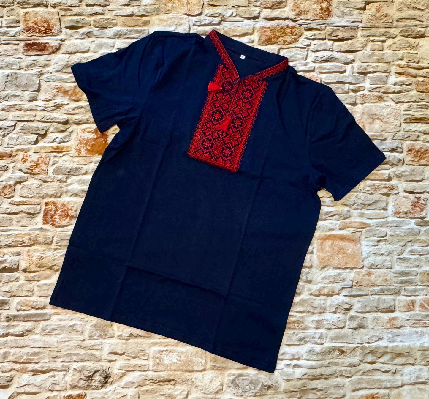 Modern Vyshyvanka T-Shirt Blue Base with Red Embroidery for Men