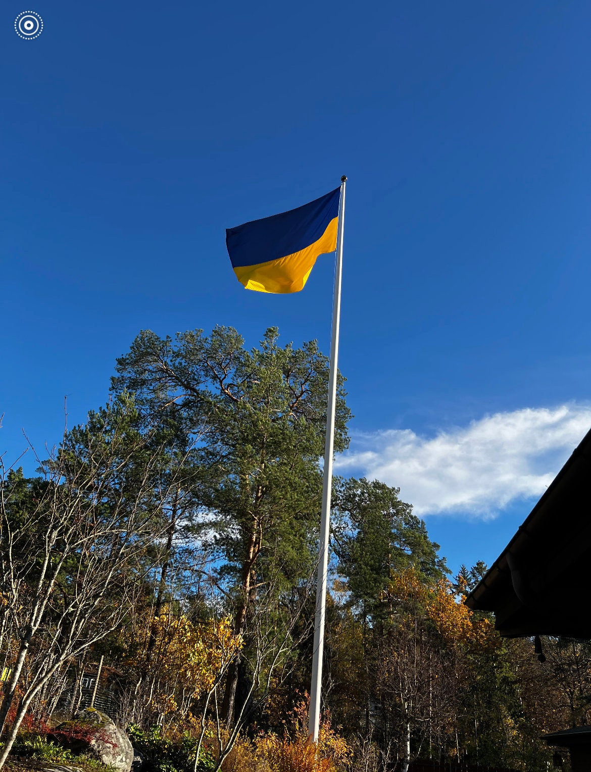 Ukrainian Flag β A Symbol of Pride and Unity 4 design options
