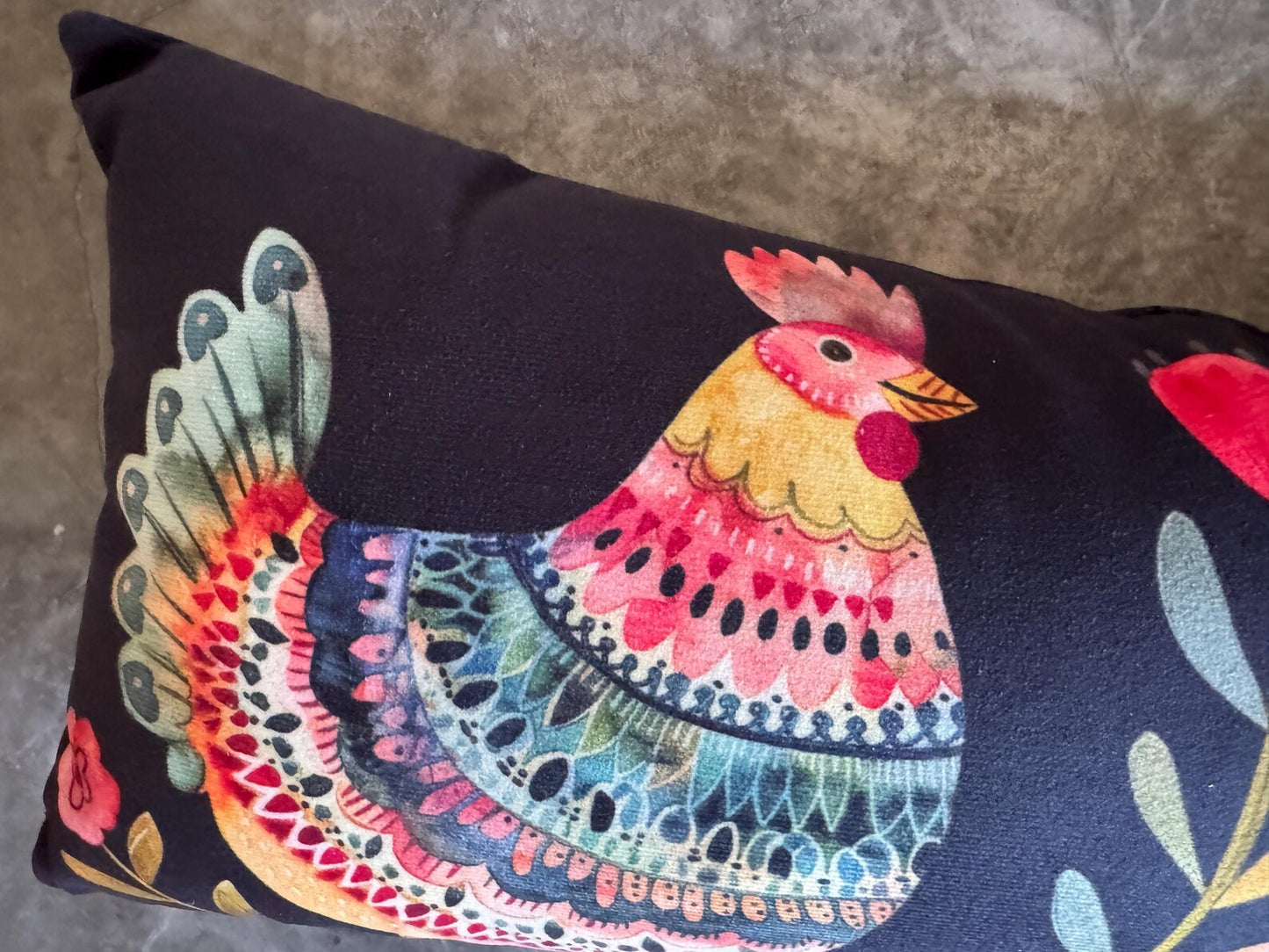 Decorative Velvet Pillow with Folk Ukrainian Print 2 designs
