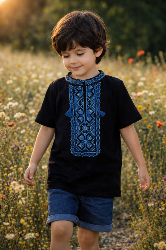 Traditional Ukrainian Blue Embroidered Vyshyvanaka T-Shirt for Boys